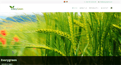 Desktop Screenshot of everygreenco.com