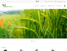 Tablet Screenshot of everygreenco.com